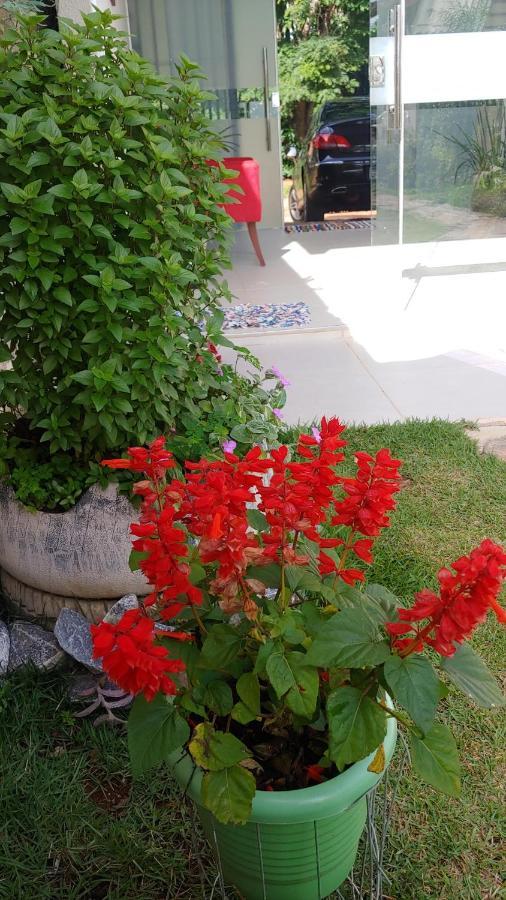 Готель Casal Ostara Begonia Алту-Параїзу-ді-Гояс Екстер'єр фото